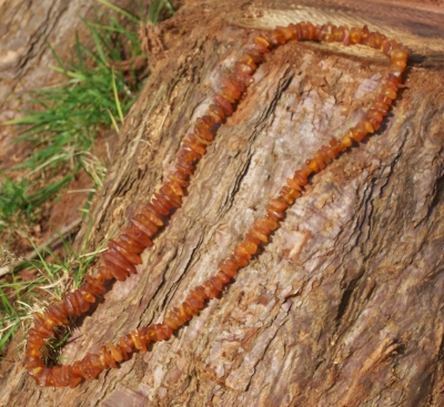 Amber Necklace ANECK03