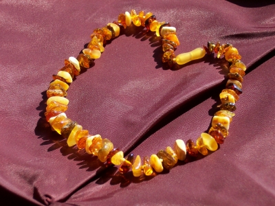 Amber Necklace ANECK12