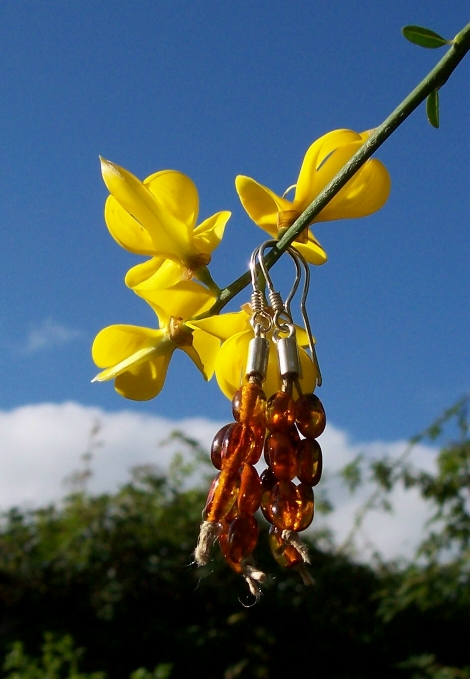 Amber Silver Earrings ER109