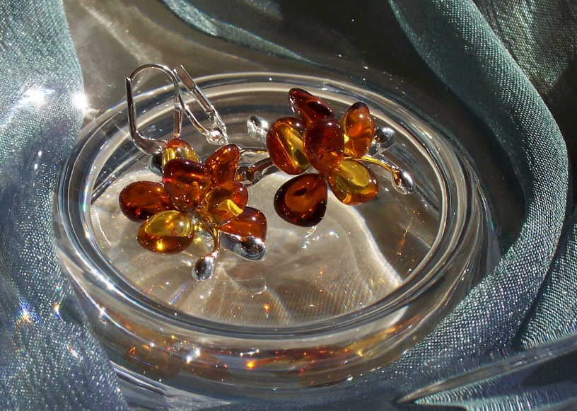 Amber Silver Earrings ER2019