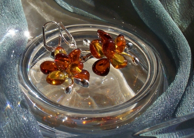 Amber Silver Earrings ER2019