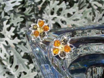 Amber Silver Earrings to stick ES1043