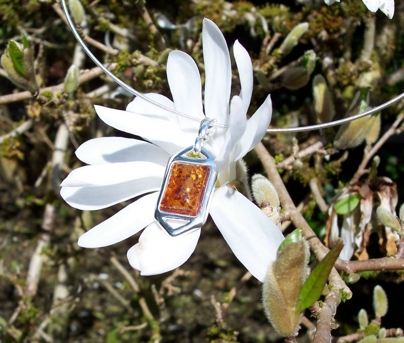 Amber Silver Pendant PE3014