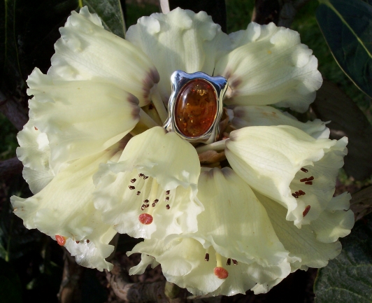 Amber Silver Pendant PE6217